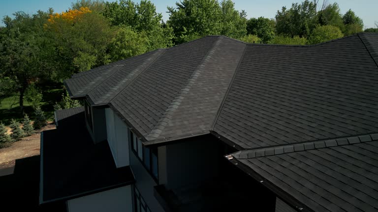 Best Skylight Installation and Repair  in Creighton, NE