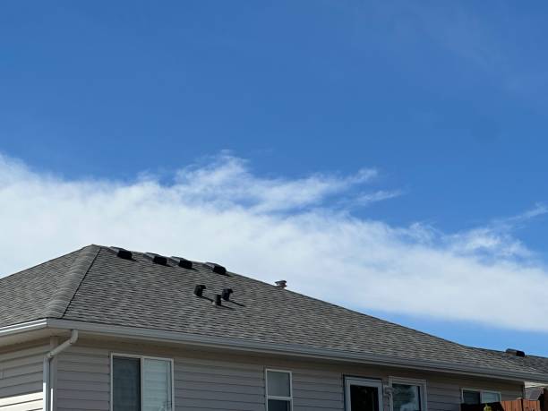 Best Metal Roofing Installation  in Creighton, NE